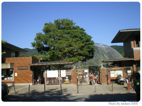 <b>京都市動物園</b>に行きました。2009年夏 | RouxRil Mom