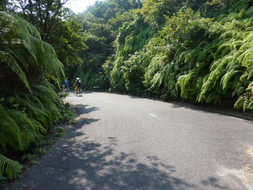 P1090592　大久野島でサイクリング（２）