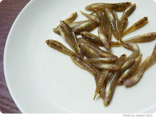 20110423-7　京都のスーパーで買った琵琶湖産の魚：イサザとゴリ初体験